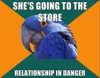 paranoid-parrot-meme-6.jpg
