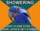 paranoid-parrot-meme-7.jpg