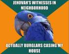 paranoid-parrot-meme-10.jpg