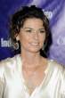 shania_twain_impress_3.jpg