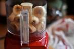 6. Put the pieces into a food processor or blender..jpg