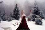 winterwonderlandshannonr.jpg