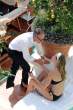 Hilary Swank  Bikini at the pool  Italy0007.jpg