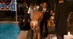 tduid2746_Maria_Lapiedra__Torrente_4_Lethal_Crisis_5.JPG