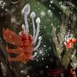no__046___paras_by_pokemonfromhell-d3akroa.jpg