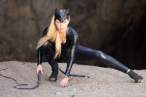 sophie-monk-as-cat-woman-02-480x320.jpg