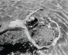 ErinHeatherton-CraigKadelPhotoshootforVogueItalia-Dec20079.jpg