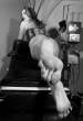 toes_in_your_title__by_raphaelclass.jpg