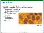 Poxviridae.jpg