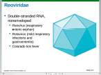 Reoviridae.jpg