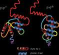 prions[1]-GIF.gif