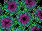 Crystalographic structure of prion sm.jpg