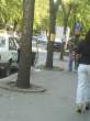 DSC07890.JPG