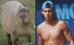 many_capybaras_look_like_rafael_nadal_640_12.jpg