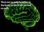 curious_facts_about_our_brain_640_17.jpg