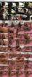311863_tbc_addison_cane_s.jpg