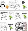 TROLL-parrot-made-me-look-like-a-complete-idiot….jpg