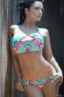 denise_milani_colorful_bikini_5.jpg
