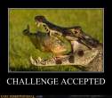 challenge-accepted-8.jpg