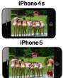 iphone.jpg