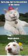 bitch-please_c_908963.jpg
