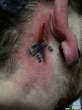 horrible-tattoos-funny-28.jpg