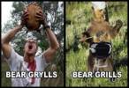 bear-grylls-bear-grills.jpg
