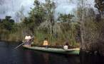 SeminoleWom&hildInDugoutCanoe..jpg