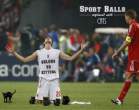 sports-balls-replaced-cats 11.jpg