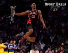 sports-balls-replaced-cats 12.jpg