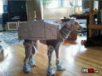 dog-costume-win.jpg