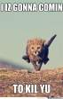 yes-yes-you-will_o_1553353.jpg