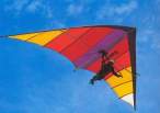 how-hang-gliders-work.jpg