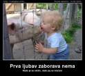 prva-ljubav-zaborava-.jpg