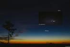 comet-ISON-11-19-2013-Greg-Hogan.png