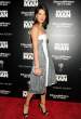 40629_smulders3_123_252lo.jpg