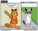 3-17-13-Bearman-Cartoon-Garfield-vs-Grumpy-Cat.png