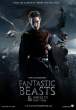 fantastic_beasts_and_where_to_find_them_fan_poster_by_hogwartsite-d6mg5we.jpg