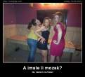 a-imate-li-mozak.jpg