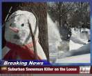 funny-pictures-there-is-a-snowman-killer-afoot2.jpg