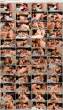 Charlee Chase & Sara Jay.jpg
