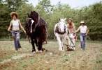 hippie-commune-the-farm-3.jpg