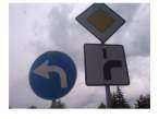 RuskiVukajlija24.jpg
