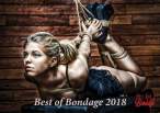 Best of Bondage 2018 Vol1 - Fine Art of Bondage-page-001.jpg
