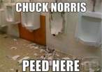 chuck-norris-urinal.jpg
