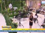 Video_1108-0806(CH-24).mpg_000002045.jpg