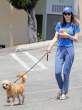 Alexandra-Daddario-with-her-dog-out-in-Los-Angeles-3.jpg