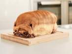 Is It a Dog or Bread.jpg